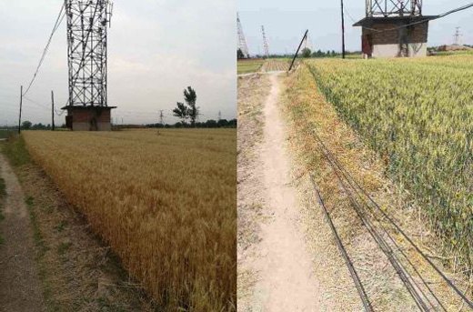 歪斜電桿、垂落線纜處置前后