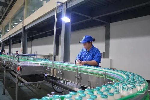陸良現(xiàn)代化廠區(qū)投資2.8億，企業(yè)管理服務(wù)助力試生產(chǎn)階段高效運(yùn)行