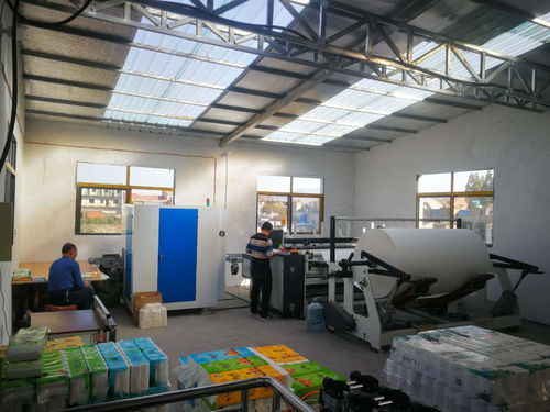 農(nóng)村小型衛(wèi)生紙加工廠投資規(guī)劃與企業(yè)服務(wù)指南