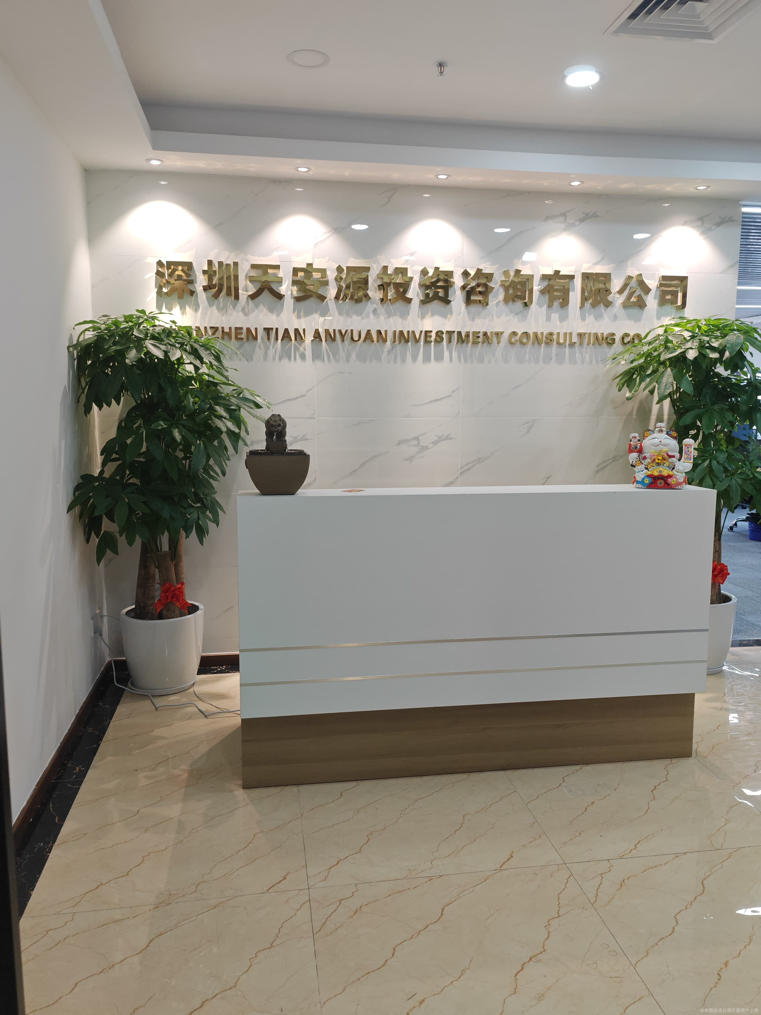 深圳天安源投資咨詢 專業(yè)引領(lǐng)，賦能企業(yè)投資決策